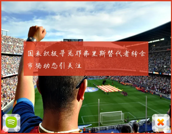 国米积极寻觅邓弗里斯替代者转会市场动态引关注