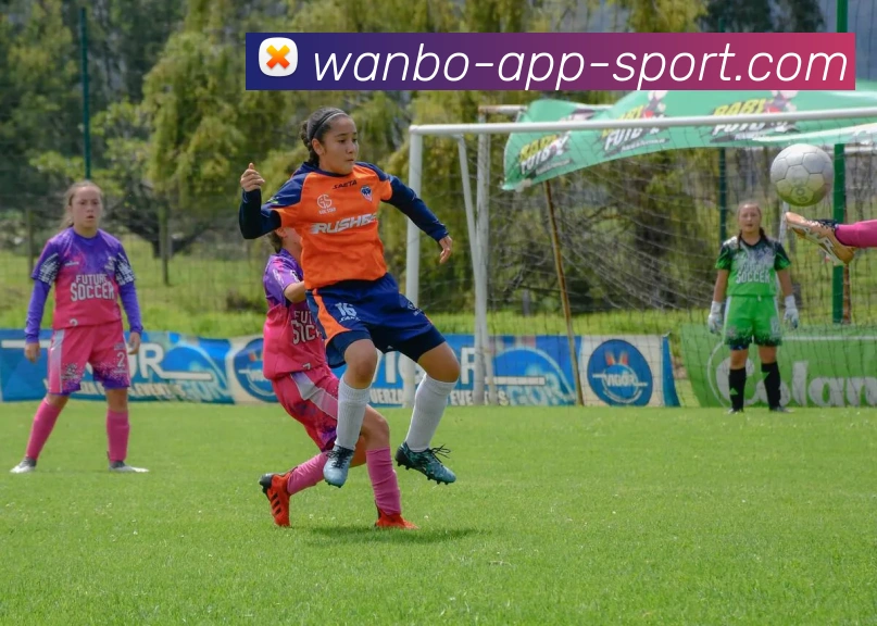 万博体育APP 封面图